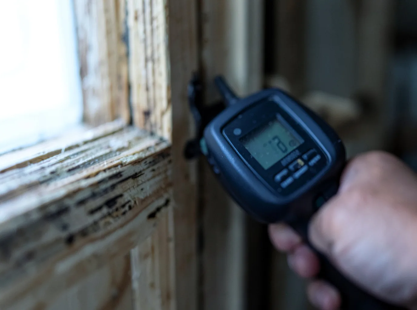 Water Damage Restoration Coalmont, TN FAQs